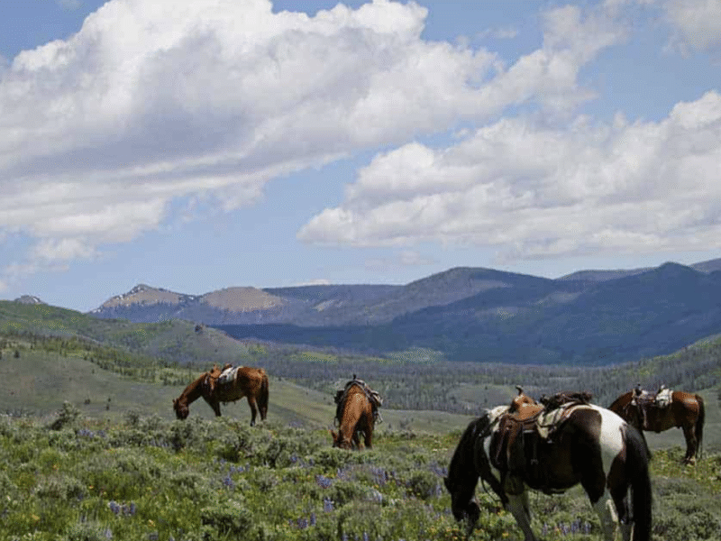 C Lazy U Ranch – Granby, CO